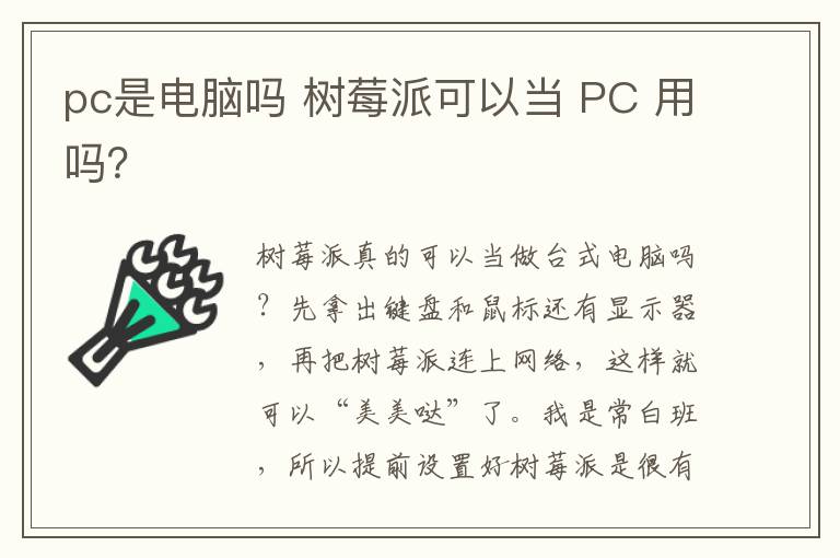 pc是电脑吗 树莓派可以当 PC 用吗？