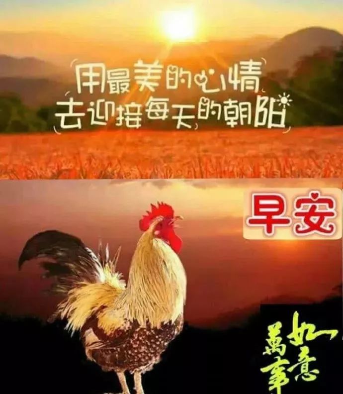 问候早上好的唯美句子_问候语简短最美的句子早上好_早上好的问候美句简短