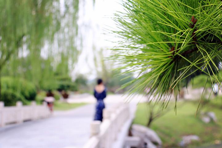 苏州攻略旅游景点推荐_苏州攻略旅游景点大全_十一苏州旅游攻略