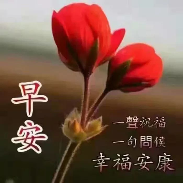 早安朋友圈问候语_早安问候朋友短句_问候朋友圈早安唯美句子