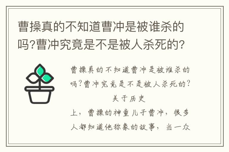 曹操真的不知道曹冲是被谁杀的吗?曹冲究竟是不是被人杀死的?