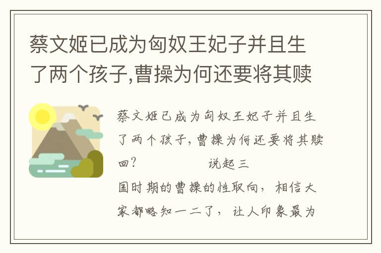 蔡文姬已成为匈奴王妃子并且生了两个孩子,曹操为何还要将其赎回?