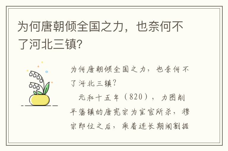 为何唐朝倾全国之力，也奈何不了河北三镇？