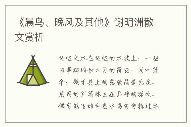 《晨鸟、晚风及其他》谢明洲散文赏析