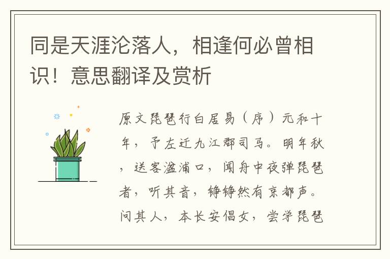 同是天涯沦落人，相逢何必曾相识！意思翻译及赏析