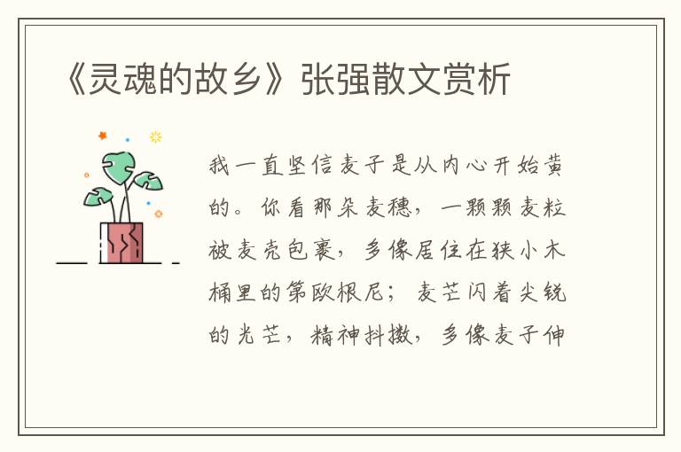 《灵魂的故乡》张强散文赏析