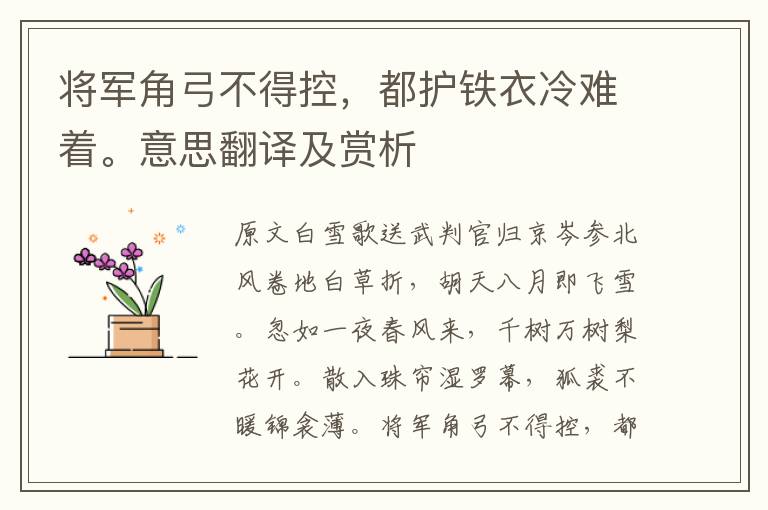 将军角弓不得控，都护铁衣冷难着。意思翻译及赏析