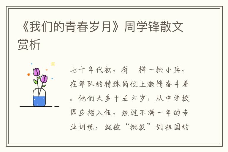 《我们的青春岁月》周学锋散文赏析