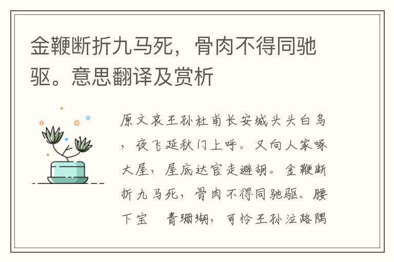 金鞭断折九马死，骨肉不得同驰驱。意思翻译及赏析