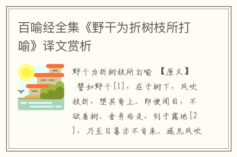 百喻经全集《野干为折树枝所打喻》译文赏析