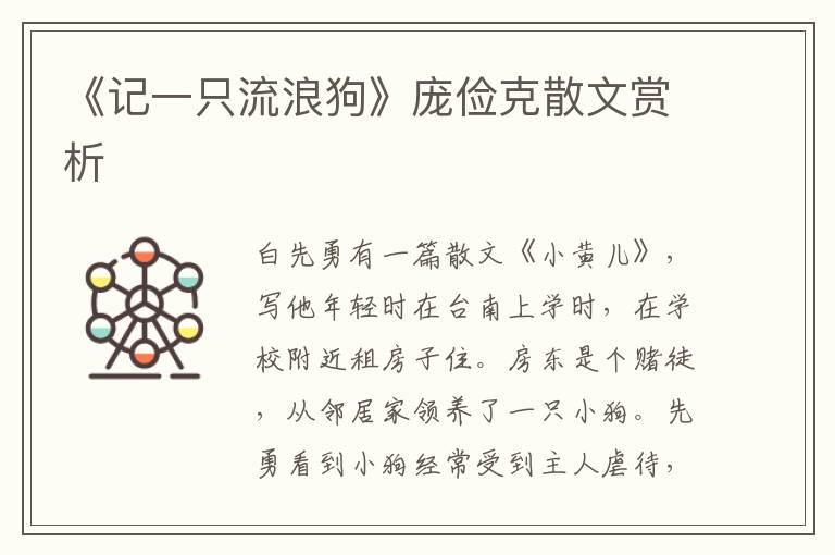 《记一只流浪狗》庞俭克散文赏析