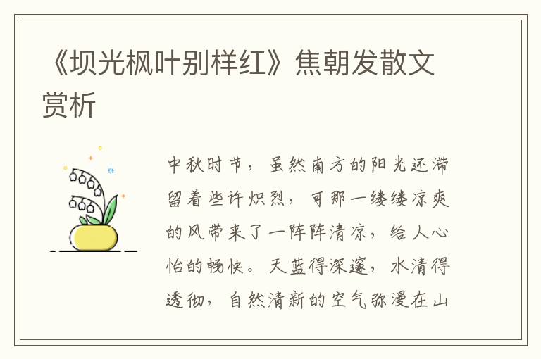 《坝光枫叶别样红》焦朝发散文赏析