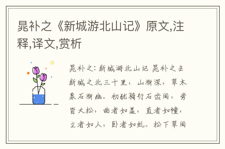 晁补之《新城游北山记》原文,注释,译文,赏析