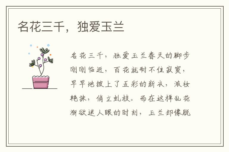 名花三千，独爱玉兰