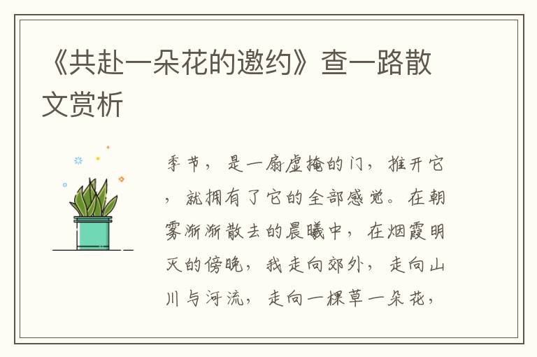 《共赴一朵花的邀约》查一路散文赏析