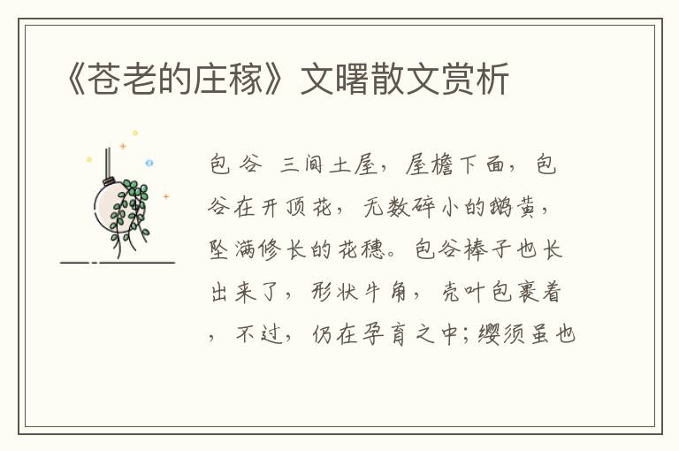 《苍老的庄稼》文曙散文赏析