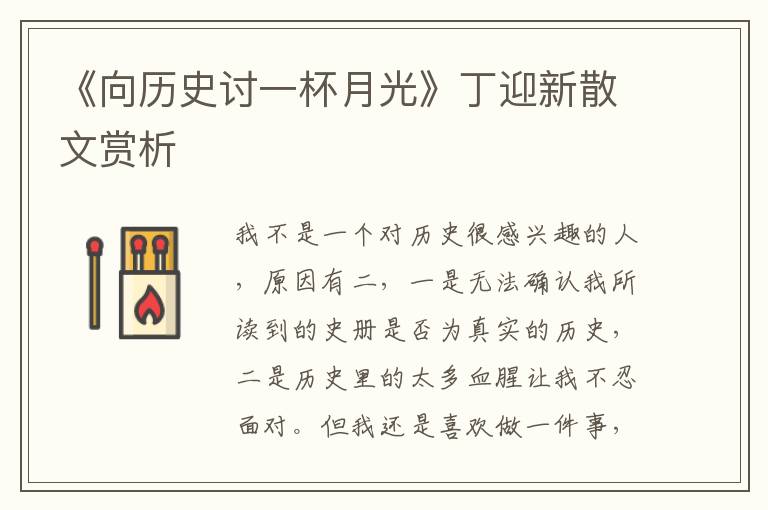 《向历史讨一杯月光》丁迎新散文赏析