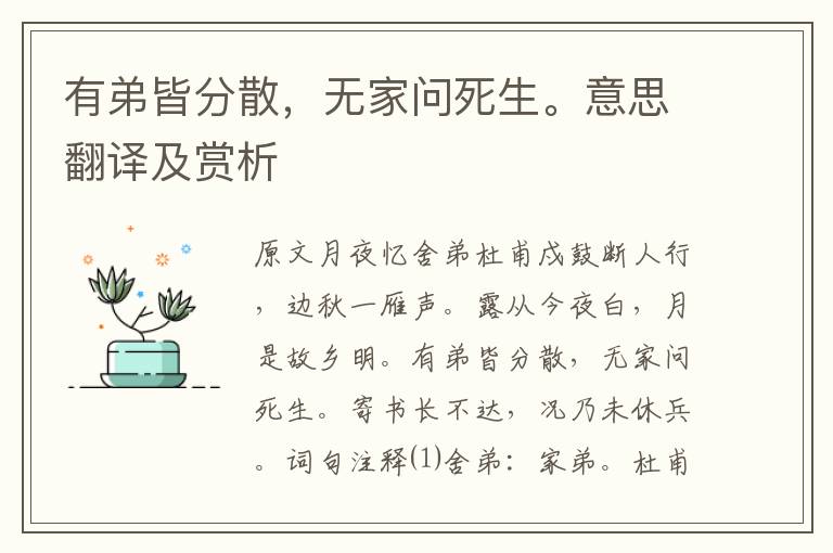 有弟皆分散，无家问死生。意思翻译及赏析