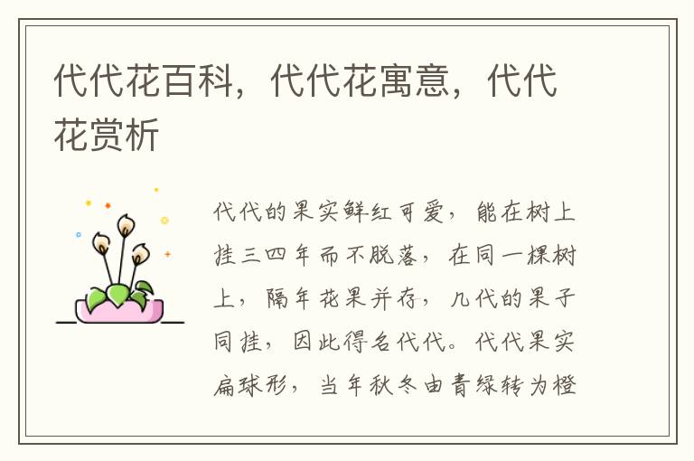 代代花百科，代代花寓意，代代花赏析