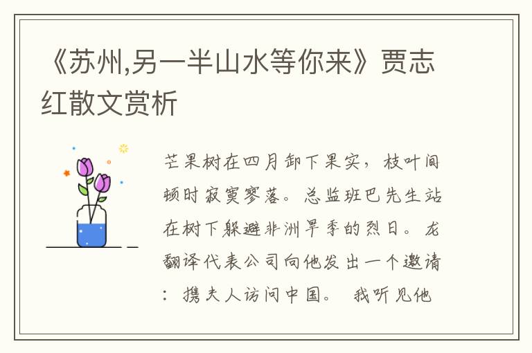 《苏州,另一半山水等你来》贾志红散文赏析