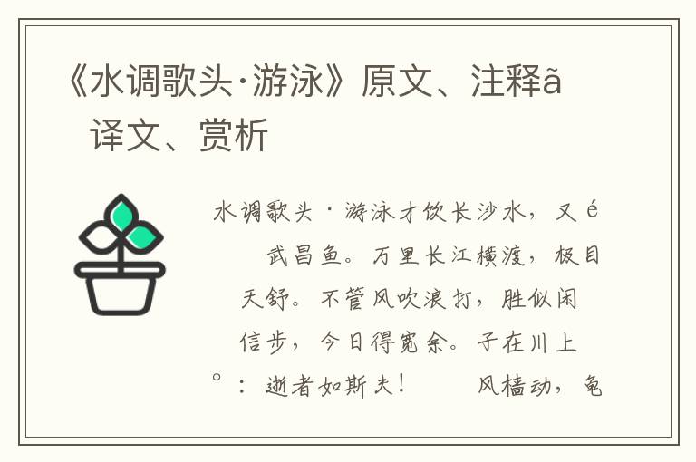 《水调歌头·游泳》原文、注释、译文、赏析