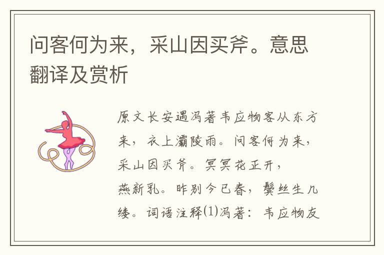 问客何为来，采山因买斧。意思翻译及赏析