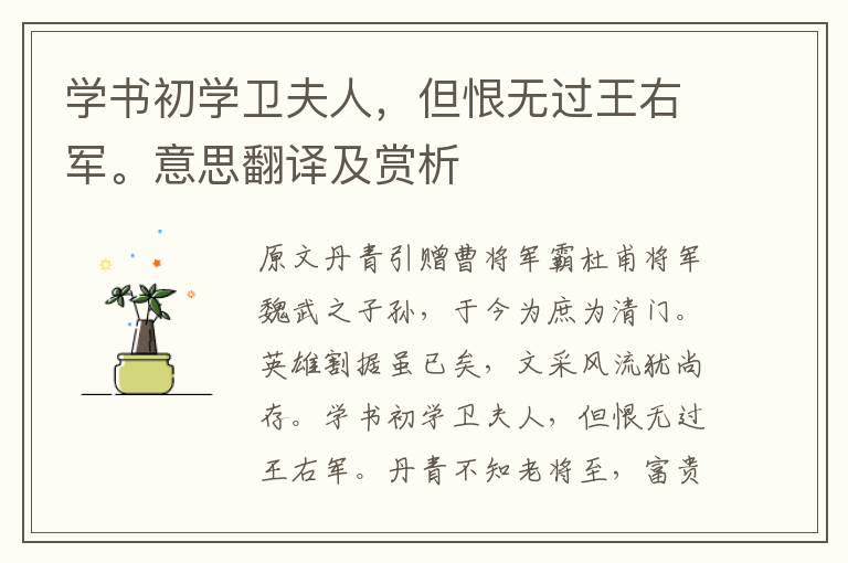 学书初学卫夫人，但恨无过王右军。意思翻译及赏析