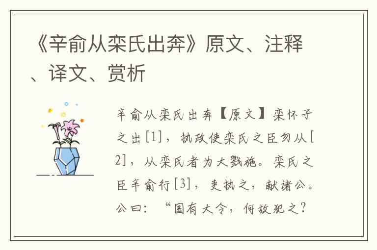 《辛俞从栾氏出奔》原文、注释、译文、赏析