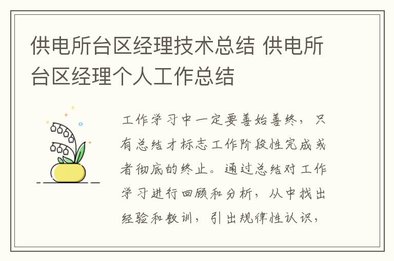 供电所台区经理技术总结 供电所台区经理个人工作总结